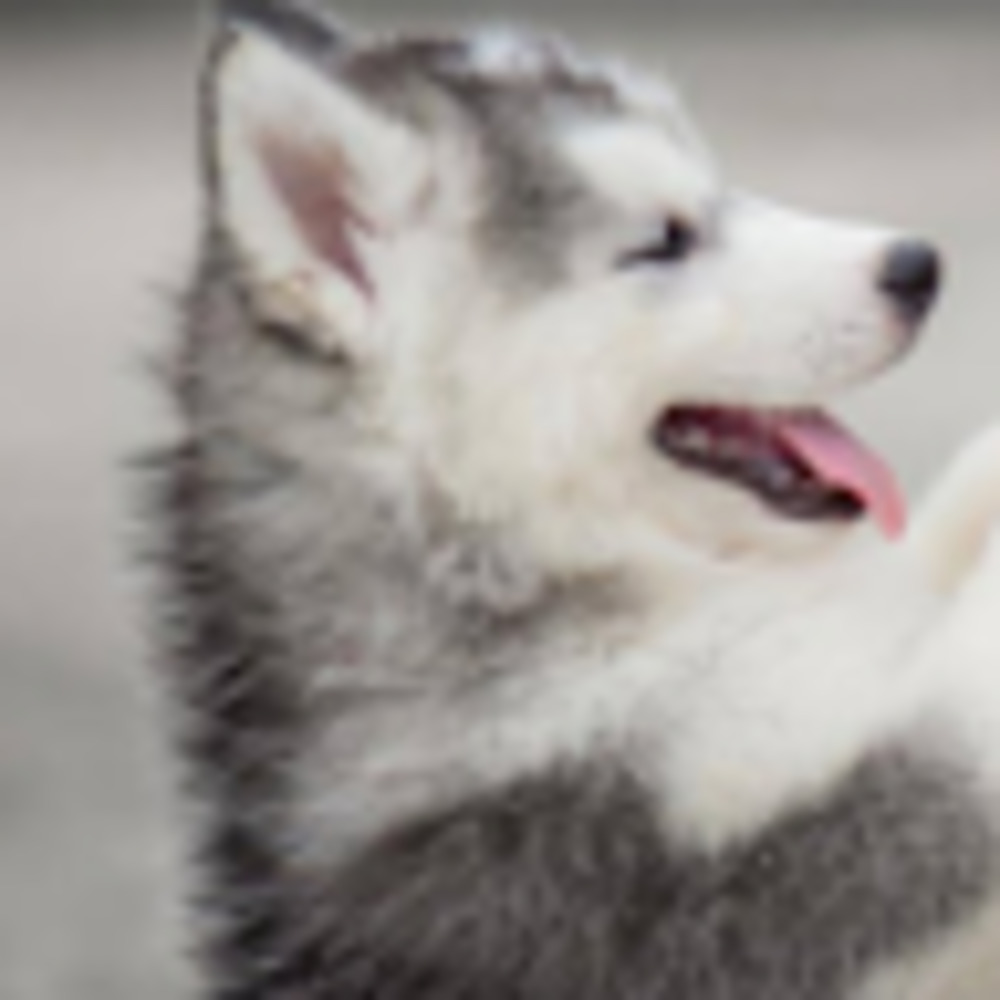 Meet your Posher, Keeley